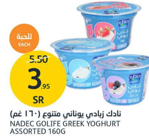 NADEC Greek Yoghurt  in مركز الجزيرة للتسوق in مملكة العربية السعودية, السعودية, سعودية - الرياض