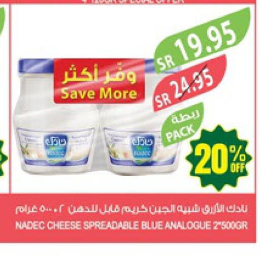 NADEC Analogue Cream  in Farm  in KSA, Saudi Arabia, Saudi - Riyadh