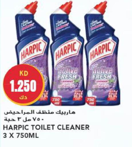 HARPIC Toilet / Drain Cleaner  in Grand Hyper in Kuwait - Jahra Governorate