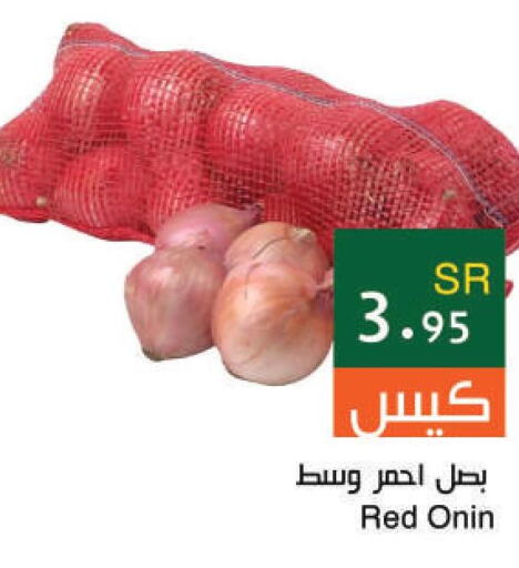  Onion  in Hala Markets in KSA, Saudi Arabia, Saudi - Dammam