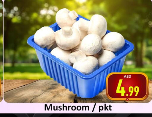  Mushroom  in سوق المبارك هايبرماركت in الإمارات العربية المتحدة , الامارات - الشارقة / عجمان