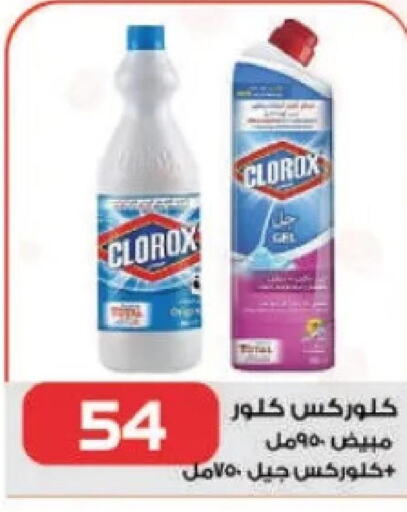 CLOROX General Cleaner  in  Zahran Market in Egypt - Cairo