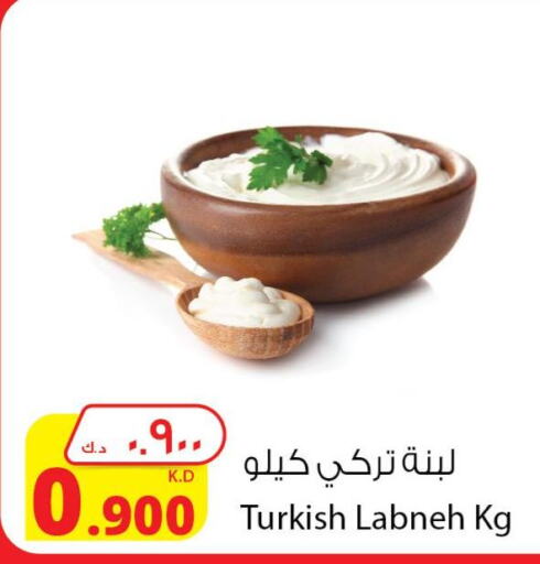  Labneh  in شركة المنتجات الزراعية الغذائية in الكويت - محافظة الأحمدي