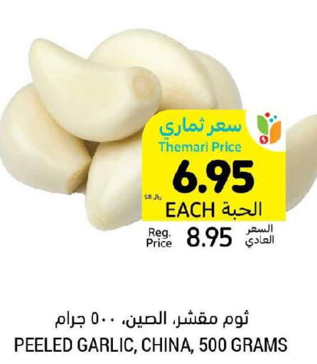  Garlic  in أسواق التميمي in مملكة العربية السعودية, السعودية, سعودية - المدينة المنورة