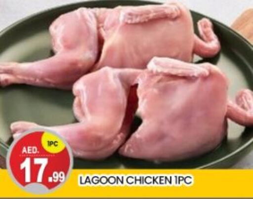  Chicken Breast  in TALAL MARKET in UAE - Dubai
