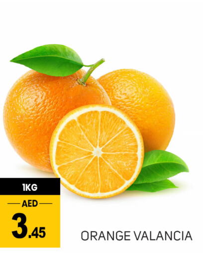  Orange  in TALAL MARKET in UAE - Dubai