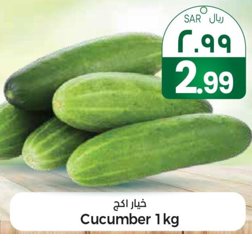  Cucumber  in ستي فلاور in مملكة العربية السعودية, السعودية, سعودية - سكاكا