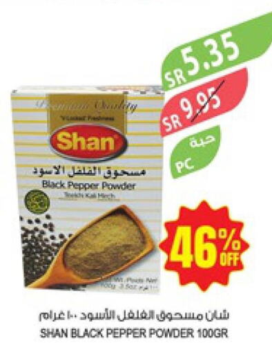 SHAN Spices / Masala  in Farm  in KSA, Saudi Arabia, Saudi - Jazan