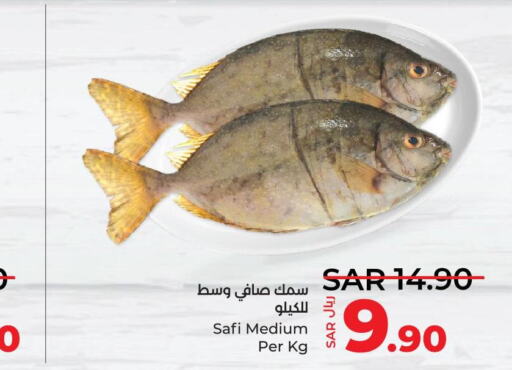  King Fish  in LULU Hypermarket in KSA, Saudi Arabia, Saudi - Yanbu