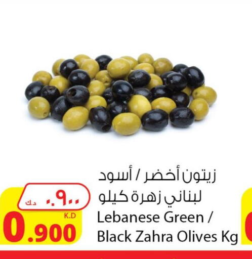  in Agricultural Food Products Co. in Kuwait - Jahra Governorate