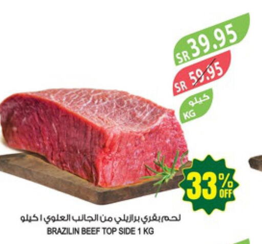  Beef  in Farm  in KSA, Saudi Arabia, Saudi - Sakaka