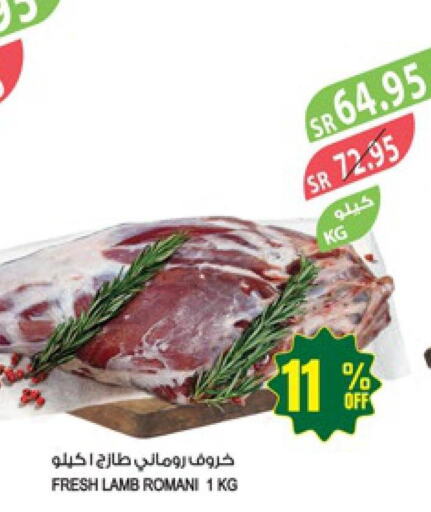 Mutton / Lamb  in المزرعة in مملكة العربية السعودية, السعودية, سعودية - الخرج