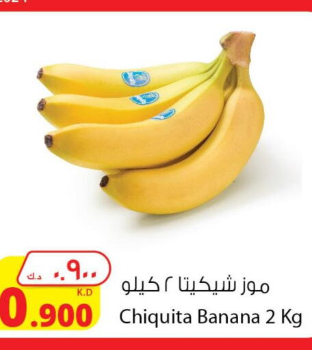  Banana  in شركة المنتجات الزراعية الغذائية in الكويت - محافظة الأحمدي