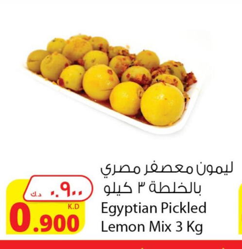  Pickle  in Agricultural Food Products Co. in Kuwait - Ahmadi Governorate