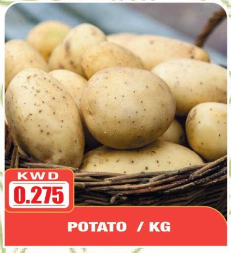  Potato  in Olive Hyper Market in Kuwait - Ahmadi Governorate