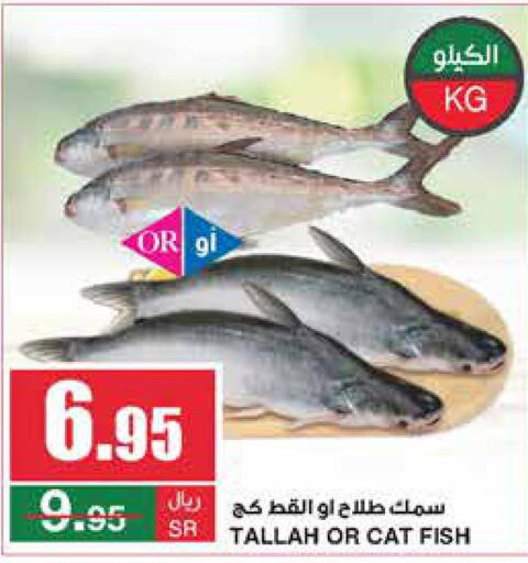  King Fish  in SPAR  in KSA, Saudi Arabia, Saudi - Riyadh