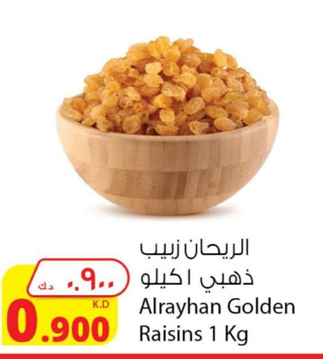 BAYARA   in شركة المنتجات الزراعية الغذائية in الكويت - مدينة الكويت