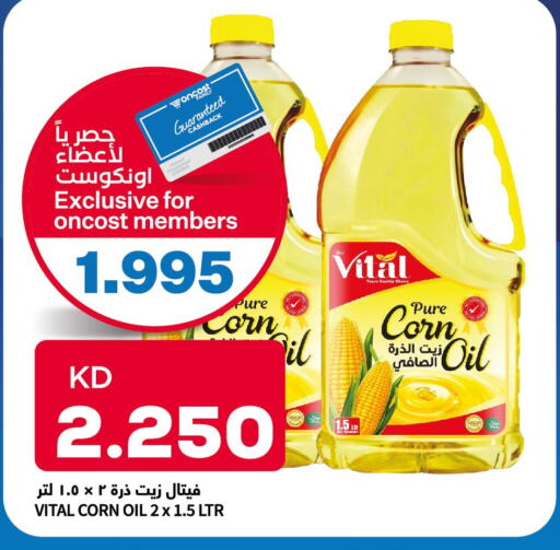  Corn Oil  in أونكوست in الكويت - مدينة الكويت