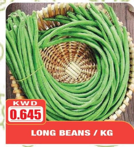  Beans  in Olive Hyper Market in Kuwait - Ahmadi Governorate