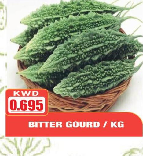  Gourd  in Olive Hyper Market in Kuwait - Ahmadi Governorate