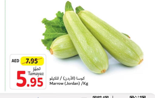  Zucchini  in تعاونية الاتحاد in الإمارات العربية المتحدة , الامارات - الشارقة / عجمان