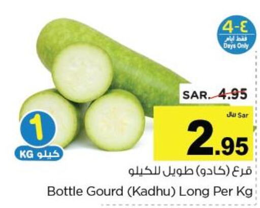  Gourd  in نستو in مملكة العربية السعودية, السعودية, سعودية - الأحساء‎
