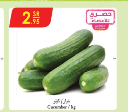  Cucumber  in Danube in KSA, Saudi Arabia, Saudi - Dammam
