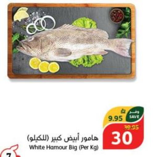  Tuna  in هايبر بنده in مملكة العربية السعودية, السعودية, سعودية - حفر الباطن