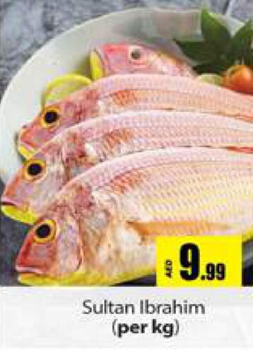  King Fish  in Gulf Hypermarket LLC in UAE - Ras al Khaimah