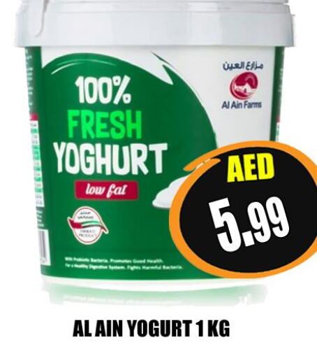 AL AIN Yoghurt  in هايبرماركت مجستك بلس in الإمارات العربية المتحدة , الامارات - أبو ظبي