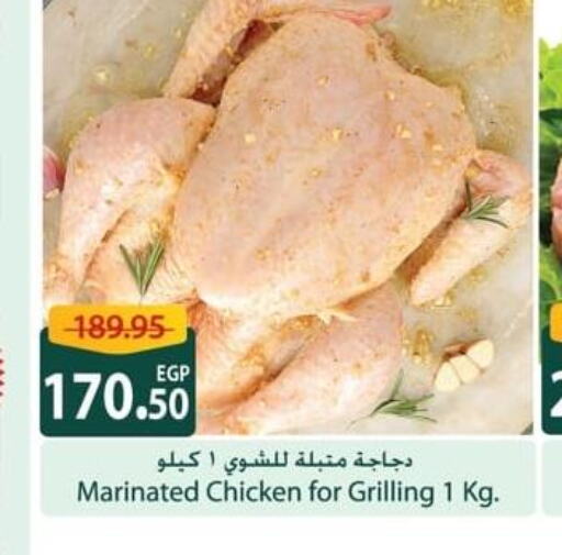  Marinated Chicken  in سبينس in Egypt - القاهرة