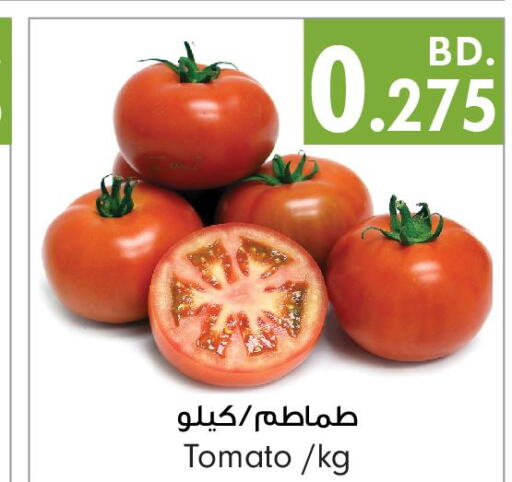  Tomato  in Bahrain Pride in Bahrain