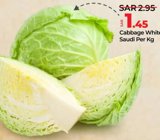  Cabbage  in LULU Hypermarket in KSA, Saudi Arabia, Saudi - Jubail