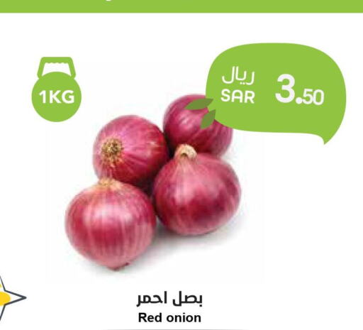  Onion  in Consumer Oasis in KSA, Saudi Arabia, Saudi - Riyadh