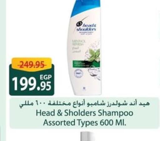 HEAD & SHOULDERS Shampoo / Conditioner  in Spinneys  in Egypt - Cairo
