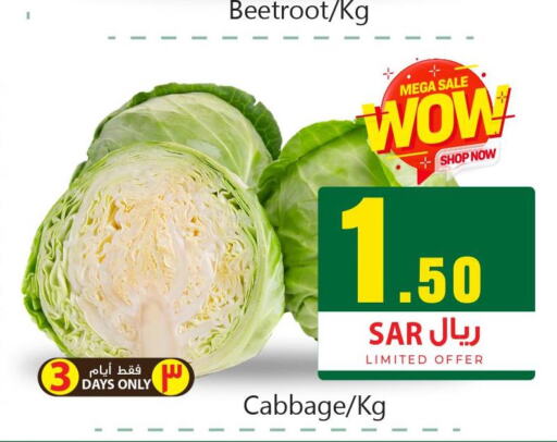  Cabbage  in We One Shopping Center in KSA, Saudi Arabia, Saudi - Dammam