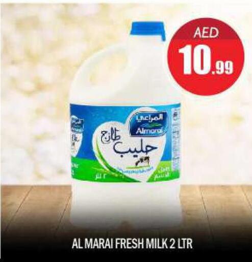 ALMARAI Fresh Milk  in بيج مارت in الإمارات العربية المتحدة , الامارات - أبو ظبي
