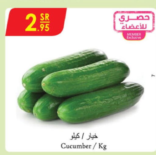  Cucumber  in Danube in KSA, Saudi Arabia, Saudi - Unayzah