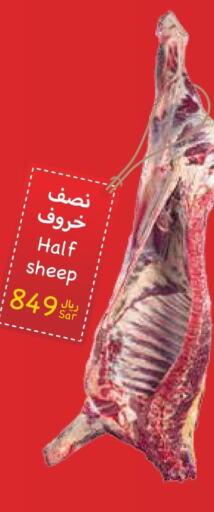  Mutton / Lamb  in واحة المستهلك in مملكة العربية السعودية, السعودية, سعودية - الرياض