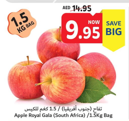  Apples  in تعاونية أم القيوين in الإمارات العربية المتحدة , الامارات - الشارقة / عجمان