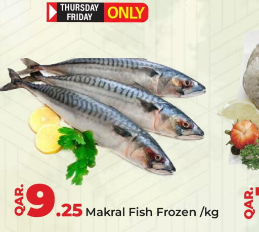  King Fish  in Paris Hypermarket in Qatar - Al-Shahaniya