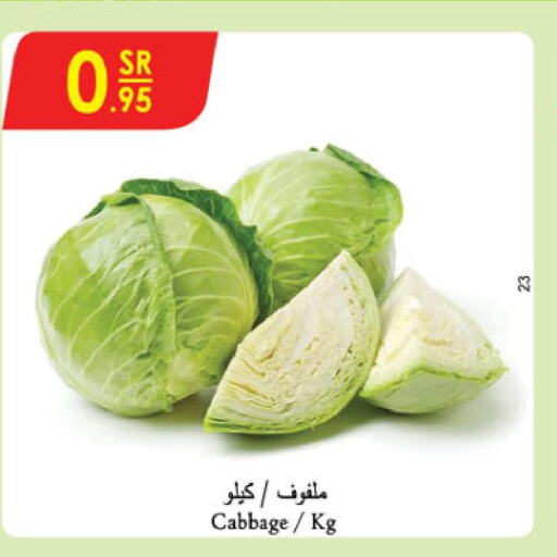  Cabbage  in Danube in KSA, Saudi Arabia, Saudi - Dammam