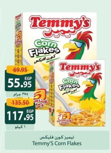 TEMMYS Corn Flakes  in سبينس in Egypt - القاهرة