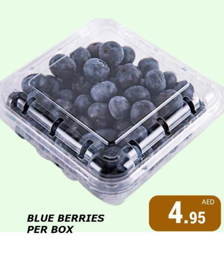  Berries  in Kerala Hypermarket in UAE - Ras al Khaimah