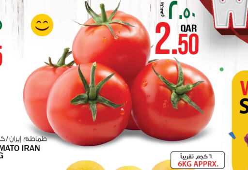  Tomato  in Kenz Mini Mart in Qatar - Al-Shahaniya