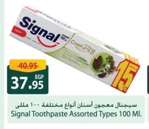 SIGNAL Toothpaste  in سبينس in Egypt - القاهرة