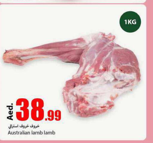 Mutton / Lamb  in  روابي ماركت عجمان in الإمارات العربية المتحدة , الامارات - الشارقة / عجمان