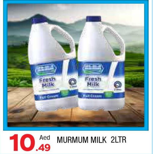  Fresh Milk  in AL MADINA in UAE - Sharjah / Ajman