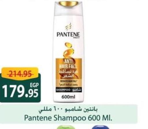 PANTENE Shampoo / Conditioner  in سبينس in Egypt - القاهرة