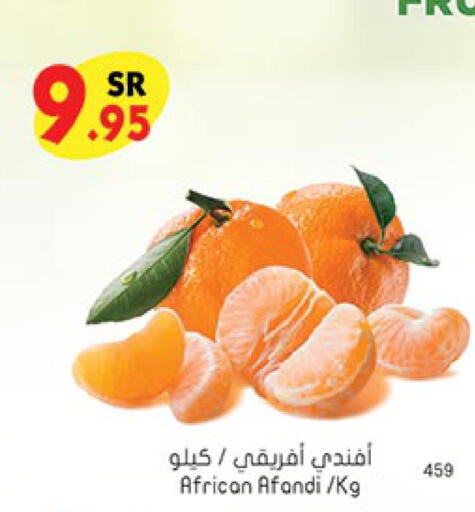  Orange  in Bin Dawood in KSA, Saudi Arabia, Saudi - Khamis Mushait